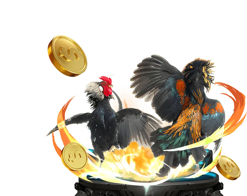 Trải nghiệm Sòng Bạc Trực Tiếp ok8386